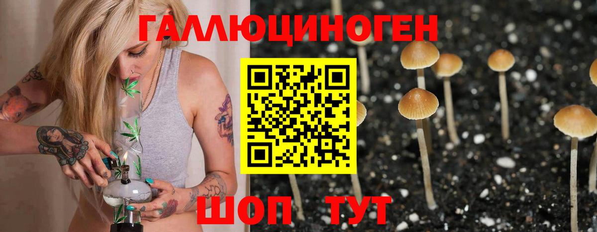 Галлюциногенные грибы прущие грибы  Вход с VPN  Назрань 
